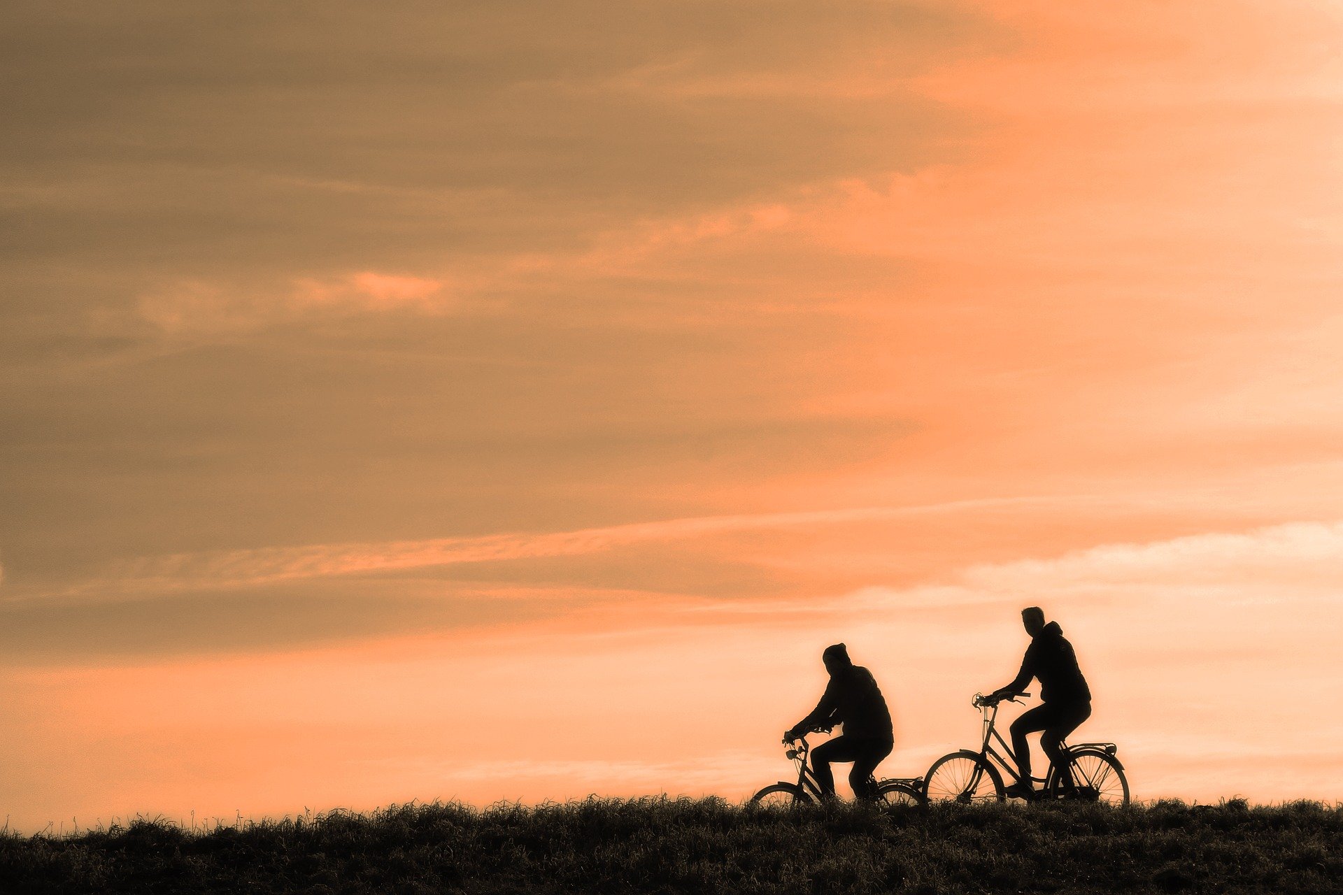 CLICK to see SPOKeS website - important organisation about cycling in Edinburgh image people on a bike