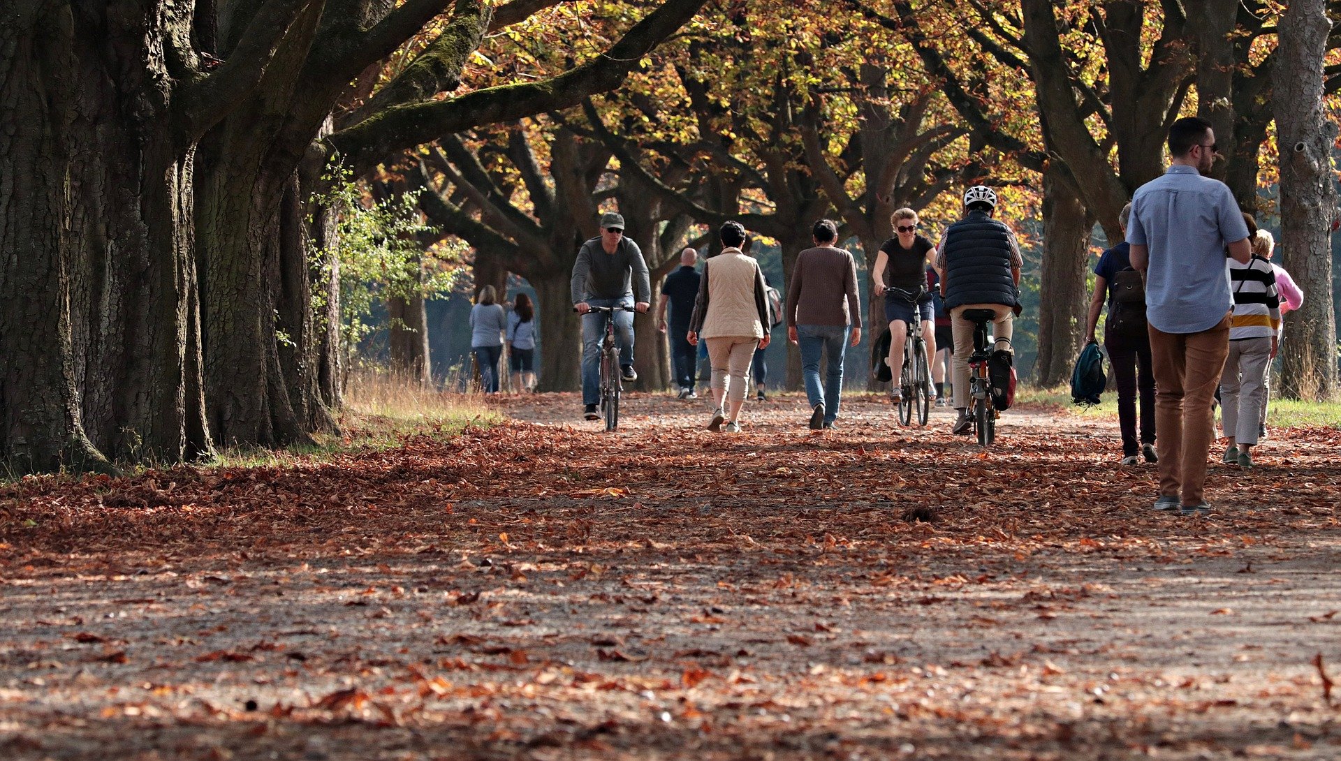 CLICK to see Sustrans website - organisation that supports cycling in Edinburgh image of people on a bike